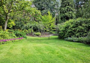 Optimiser l'expérience du jardin à Bourg-le-Comte